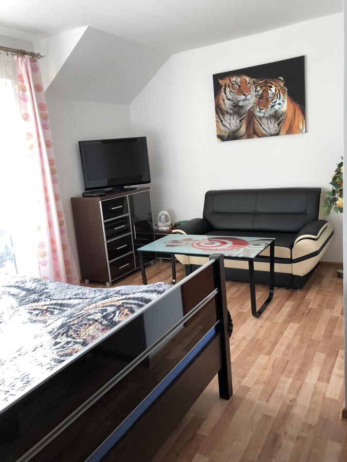 Agata Apartment Wisla Exterior photo